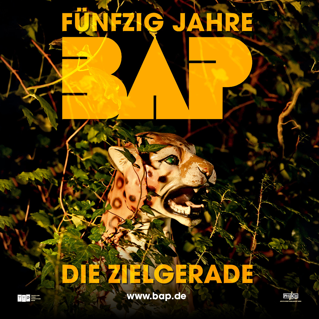 nfo tickets image